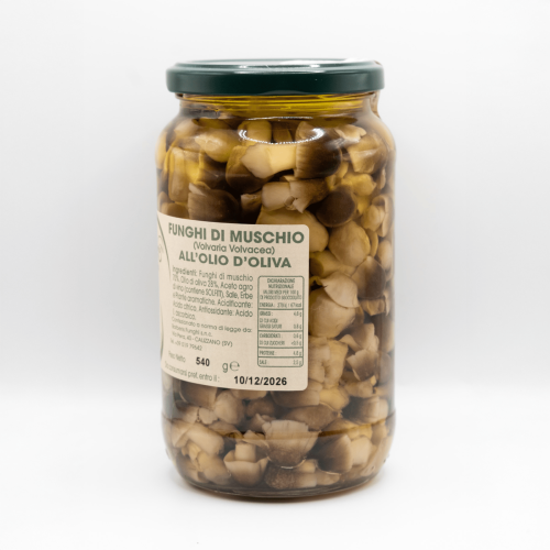 FUNGHI DI MUSCHIO SOTT'OLIO VASETTO DA 540 GR.