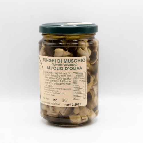 FUNGHI DI MUSCHIO SOTT'OLIO VASETTO DA 290 GR.