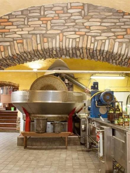 FRANTOIO-NUVOLONE-Taggia-010-2880w